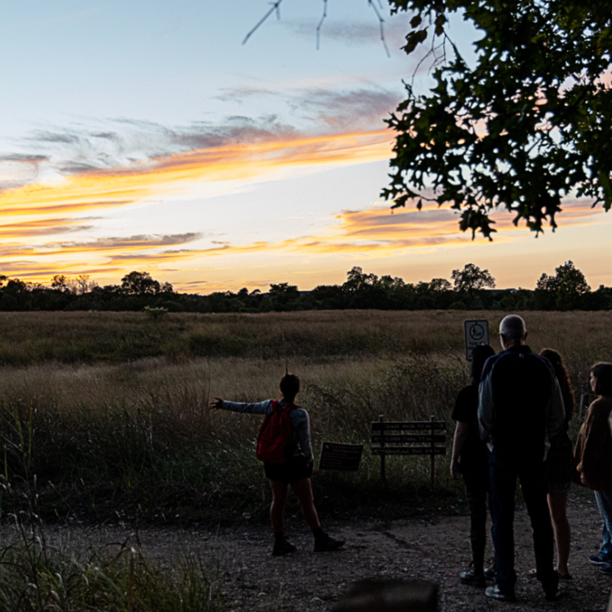 Night Hike for Adults - logo